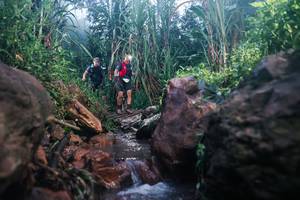 BIB: 
                            <button type="button" onclick="openModal(26420294)" class="btn btn-primary btn-sm float-right btn-popup" data-toggle="modal" data-target=".modal-high-quality">
                        <i class="fas fa-shopping-cart"></i> Add to Cart
                    </button>
                                            <button type="button" onclick="isThisMe(26420294, true)" class="btn btn-success btn-sm float-right btn-popup btn-isme hidden" data-toggle="tooltip" data-placement="bottom" title="นี่คือรูปของคุณใช่ไหม คลิกที่นี่เพื่อเอาเข้าอัลบั้ม">
                        <i class="fas fa-plus"></i> Add to album
                    </button>
                    <button type="button" onclick="isThisMe(26420294, false)" class="btn btn-warning btn-sm float-right btn-popup btn-isnotme hidden">
                        <i class="fas fa-ban"></i> Remove from album
                    </button>